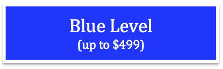 Blue Level logo